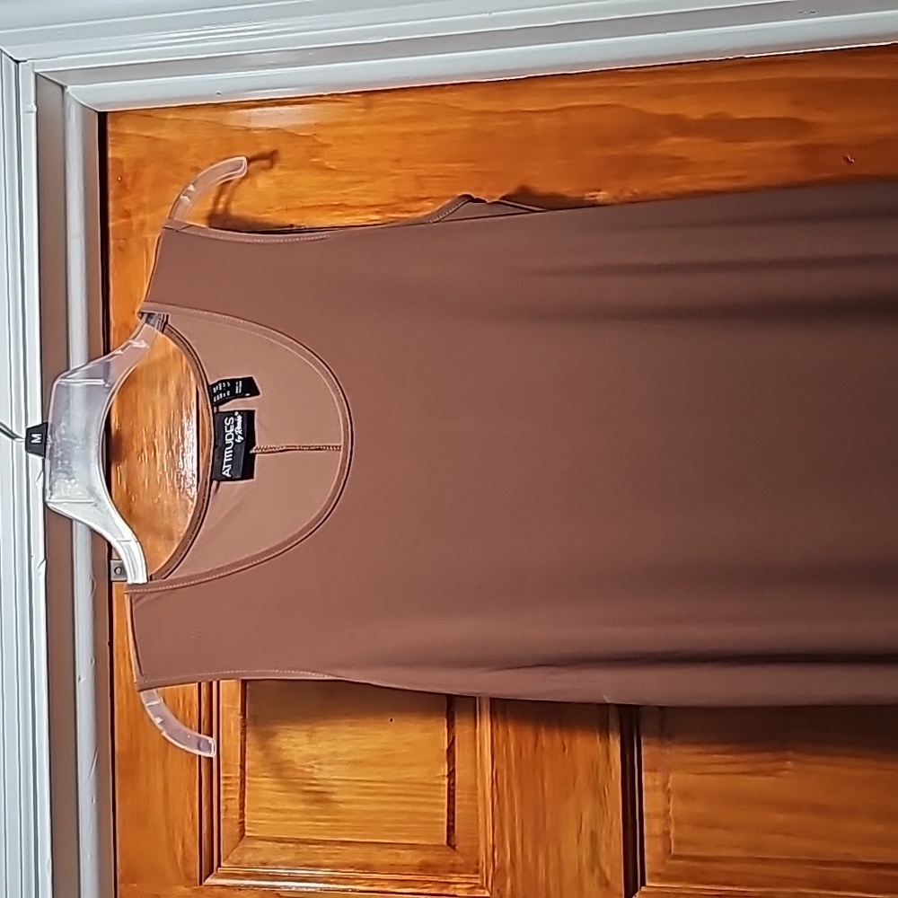 NWT ATTITUDES by Renee dress - Picture 5 of 8